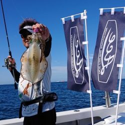 フィッシングボートACE(エース) 釣果