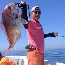 フィッシングボートACE（エース） 釣果