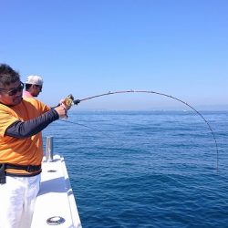 フィッシングボートACE（エース） 釣果