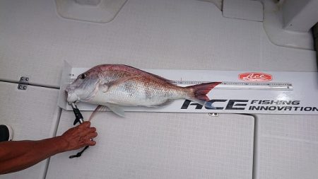 フィッシングボートACE(エース) 釣果