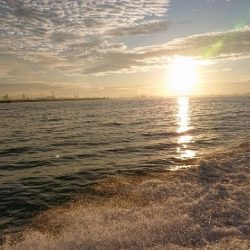 フィッシングボートACE(エース) 釣果