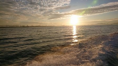 フィッシングボートACE(エース) 釣果