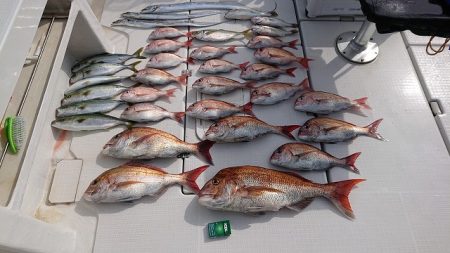 フィッシングボートACE(エース) 釣果