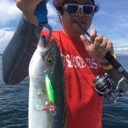 シーマジカル 釣果