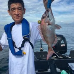 シーマジカル 釣果