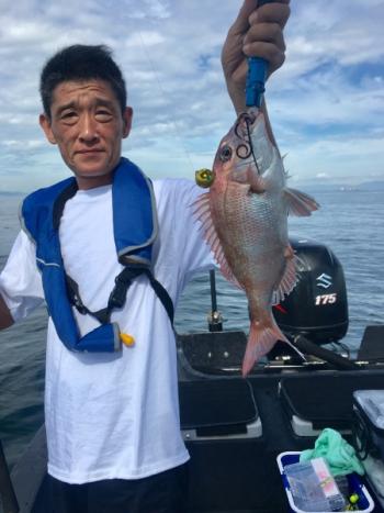 シーマジカル 釣果