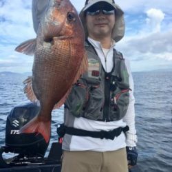 シーマジカル 釣果