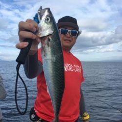 シーマジカル 釣果