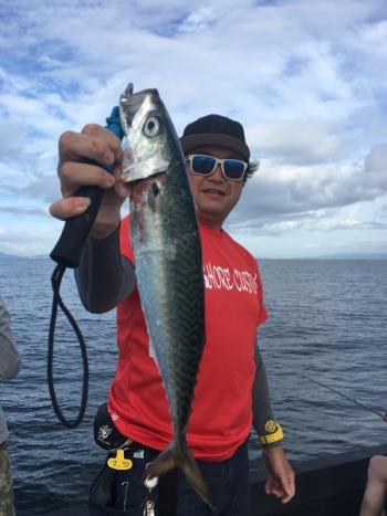 シーマジカル 釣果