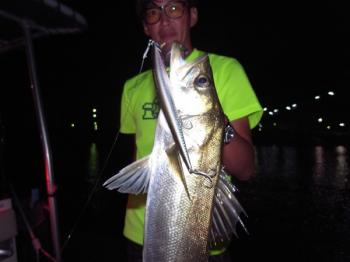 シーマジカル 釣果