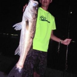 シーマジカル 釣果