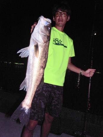 シーマジカル 釣果