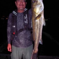 シーマジカル 釣果