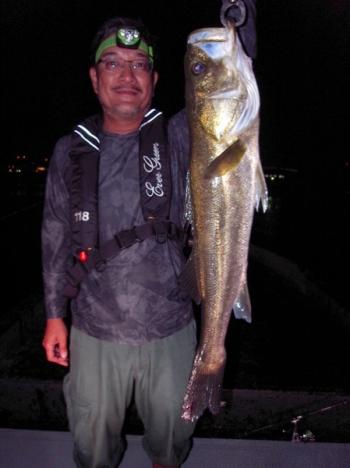 シーマジカル 釣果