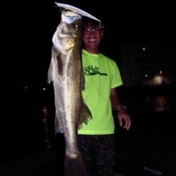 シーマジカル 釣果