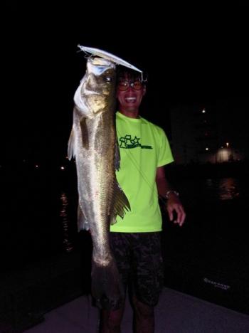 シーマジカル 釣果