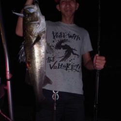 シーマジカル 釣果