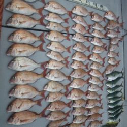 磯部釣船 直栄丸 釣果