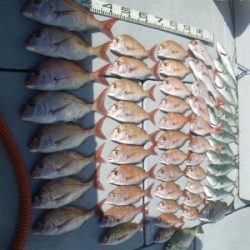 磯部釣船 直栄丸 釣果