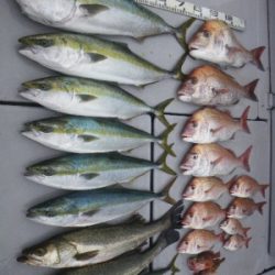 磯部釣船 直栄丸 釣果