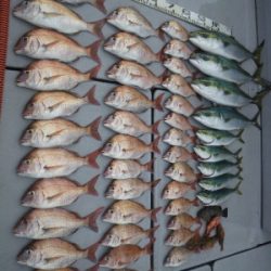 磯部釣船 直栄丸 釣果