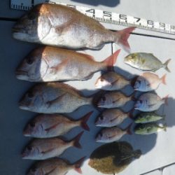 磯部釣船 直栄丸 釣果