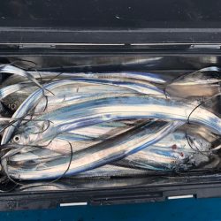 深川 吉野屋 釣果