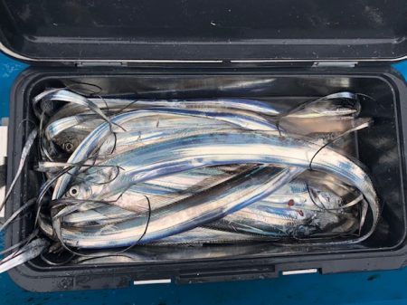 深川 吉野屋 釣果