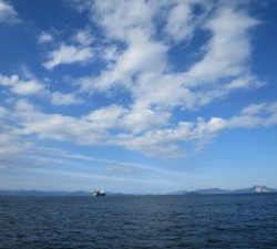 アジアマリンサービス 釣果