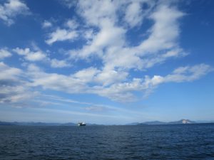 アジアマリンサービス 釣果