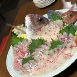 星隆丸 釣果