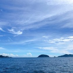 フィシングボートAir(エアー) 釣果