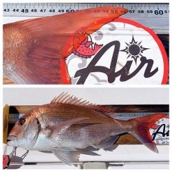 フィシングボートAir(エアー) 釣果