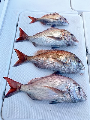 フィシングボートAir(エアー) 釣果