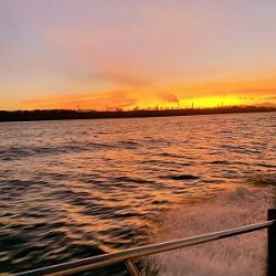 フィシングボートAir(エアー) 釣果