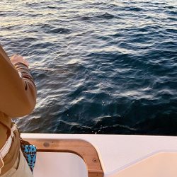 フィシングボートAir(エアー) 釣果