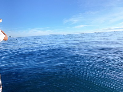 フィシングボートAir(エアー) 釣果