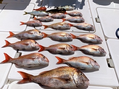 フィシングボートAir(エアー) 釣果