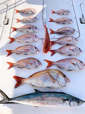 フィシングボートAir(エアー) 釣果