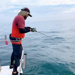 フィシングボートAir(エアー) 釣果