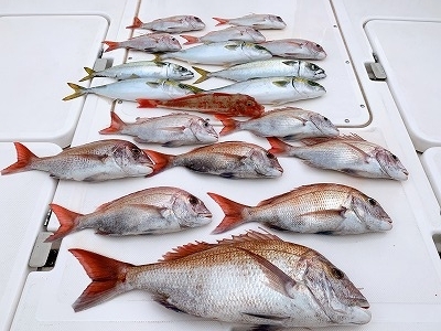 フィシングボートAir(エアー) 釣果