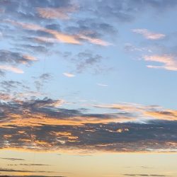 フィシングボートAir(エアー) 釣果