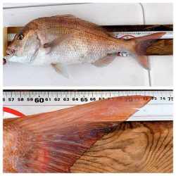 フィシングボートAir(エアー) 釣果