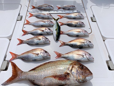 フィシングボートAir(エアー) 釣果