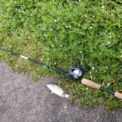 琵琶湖陸っぱり釣行レポート【メガバス（Megabass）トライザ　インプレッション】