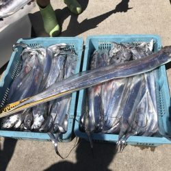 釣り船角田 釣果