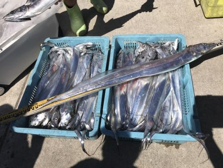 釣り船角田 釣果