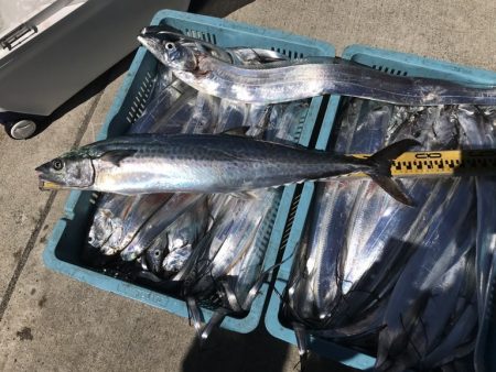 釣り船角田 釣果