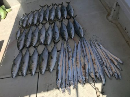 釣り船角田 釣果