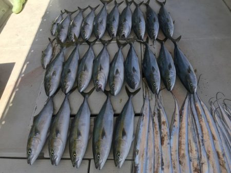 釣り船角田 釣果